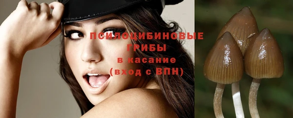 не бодяженный Осташков